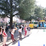 Skokičin vrtiljak v Bračanu