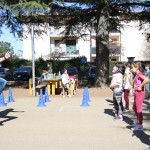 Skokičin vrtiljak v Bračanu