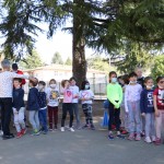 Skokičin vrtiljak v Bračanu