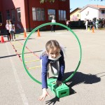 Skokičin vrtiljak v Bračanu