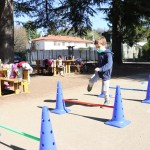 Skokičin vrtiljak v Bračanu