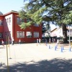 Skokičin vrtiljak v Bračanu