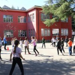 Skokičin vrtiljak v Bračanu