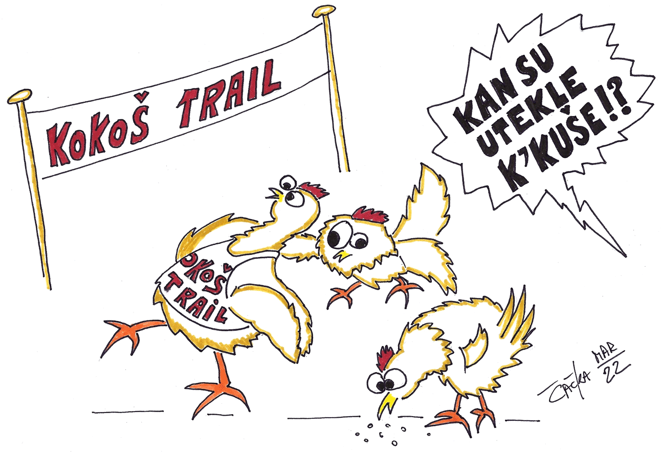 kokostrail