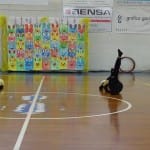 Velikonočnica AŠZ Olympia