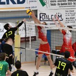 SPORT - MOSKA C LIGA – Play-off - Sloga Tabor Eutonia - Futura - prva polfinale play-offa