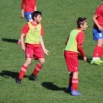 NOGOMET : MEDNARODNI MLADINSKI TURNIR ZARJE