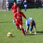 Mednarodni turnir Zarje U9