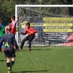 NOGOMET : MEDNARODNI MLADINSKI TURNIR ZARJE