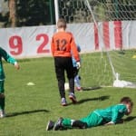 Mednarodni turnir Zarje U9