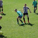 NOGOMET : MEDNARODNI MLADINSKI TURNIR ZARJE