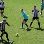 NOGOMET : MEDNARODNI MLADINSKI TURNIR ZARJE