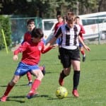 Nogomet : Mednarodni mladinski turnir Zarje