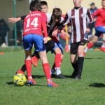 Nogomet : Mednarodni mladinski turnir Zarje