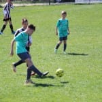 NOGOMET : MEDNARODNI MLADINSKI TURNIR ZARJE