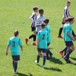 NOGOMET : MEDNARODNI MLADINSKI TURNIR ZARJE