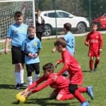 Mednarodni turnir Zarje U9