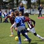 Mednarodni turnir Zarje U9