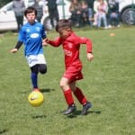 Mednarodni mladinski turnir Zarje; under 11