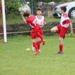 Mednarodni mladinski turnir Zarje; under 11