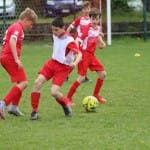 Mednarodni mladinski turnir Zarje; under 11