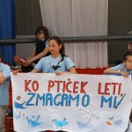 ZSŠDI: področno tekmovanje v igri med dvema ognjema za tržaš