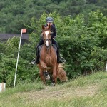 Sport - jahanje - mednarodno tekmovnaje v jahalni disciplini trec za evropski pokal