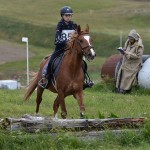 Sport - jahanje - mednarodno tekmovnaje v jahalni disciplini trec za evropski pokal