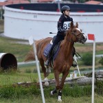 Sport - jahanje - mednarodno tekmovnaje v jahalni disciplini trec za evropski pokal