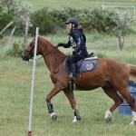 Sport - jahanje - mednarodno tekmovnaje v jahalni disciplini trec za evropski pokal