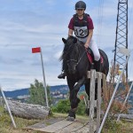 Sport - jahanje - mednarodno tekmovnaje v jahalni disciplini trec za evropski pokal