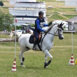 Sport - jahanje - mednarodno tekmovnaje v jahalni disciplini trec za evropski pokal
