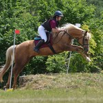 Sport - jahanje - mednarodno tekmovnaje v jahalni disciplini trec za evropski pokal