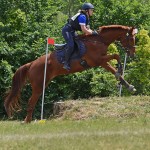 Sport - jahanje - mednarodno tekmovnaje v jahalni disciplini trec za evropski pokal