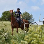 Sport - jahanje - mednarodno tekmovnaje v jahalni disciplini trec za evropski pokal