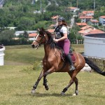 Sport - jahanje - mednarodno tekmovnaje v jahalni disciplini trec za evropski pokal