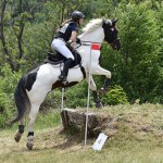 Sport - jahanje - mednarodno tekmovnaje v jahalni disciplini trec za evropski pokal
