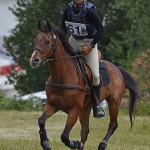 Sport - jahanje - mednarodno tekmovnaje v jahalni disciplini trec za evropski pokal