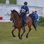 Sport - jahanje - mednarodno tekmovnaje v jahalni disciplini trec za evropski pokal