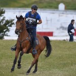 Sport - jahanje - mednarodno tekmovnaje v jahalni disciplini trec za evropski pokal