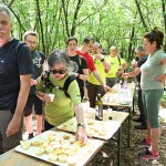 Pohod na Kohisce