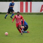 Nogomet : 1.AL : Zarja - Azzurra