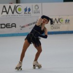 Kotalkanje : Mednarodna trofeja Sedmak