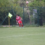 Nogomet : 1.AL : Zarja - Azzurra