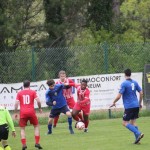 Nogomet : 1.AL : Zarja - Azzurra