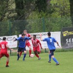 Nogomet : 1.AL : Zarja - Azzurra