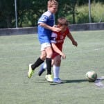 Nogomet : Pokal ZSSDI U 11
