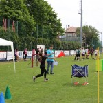 Deželni finale Jezikovnega poligona