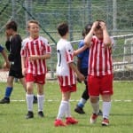 Spomladanski turnir AŠD Sovodnje
