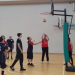 Košarkarski troboj na Čarboli: Sklad M. Čuk